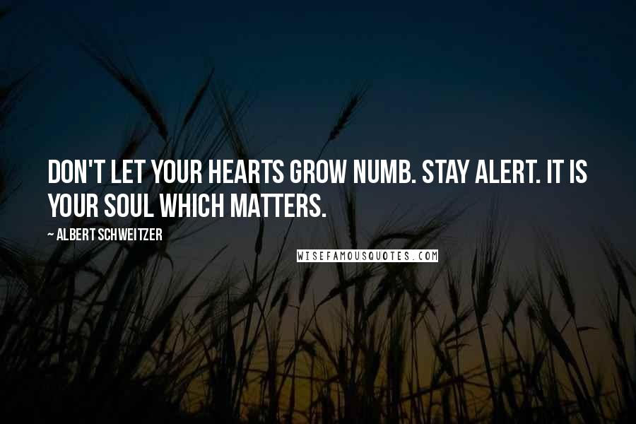 Albert Schweitzer Quotes: Don't let your hearts grow numb. Stay alert. It is your soul which matters.