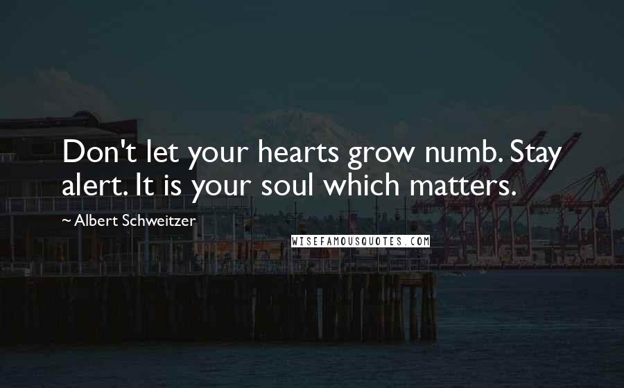 Albert Schweitzer Quotes: Don't let your hearts grow numb. Stay alert. It is your soul which matters.