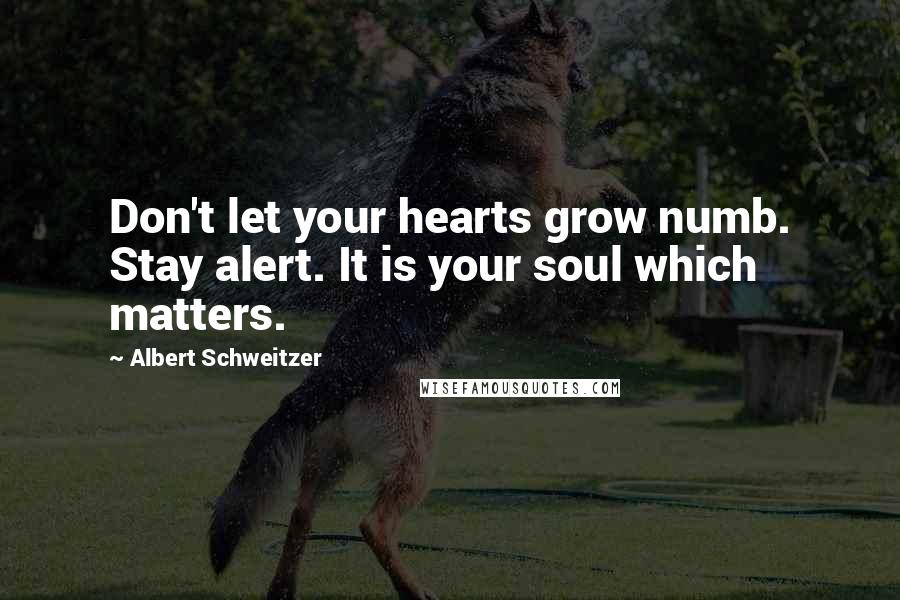 Albert Schweitzer Quotes: Don't let your hearts grow numb. Stay alert. It is your soul which matters.