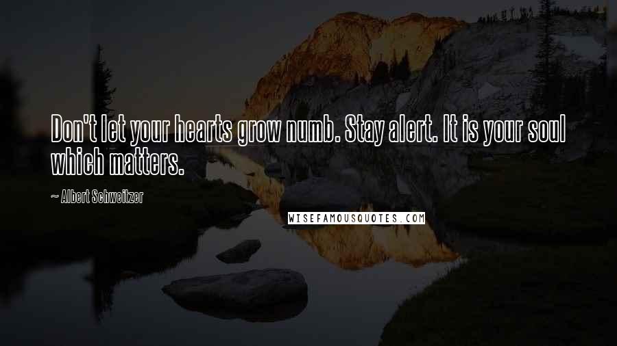 Albert Schweitzer Quotes: Don't let your hearts grow numb. Stay alert. It is your soul which matters.