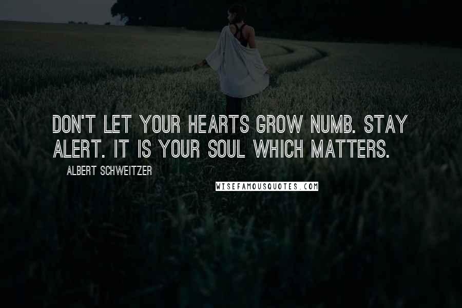 Albert Schweitzer Quotes: Don't let your hearts grow numb. Stay alert. It is your soul which matters.