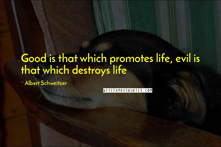 Albert Schweitzer Quotes: Good is that which promotes life, evil is that which destroys life