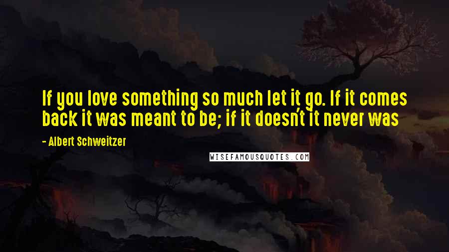 Albert Schweitzer Quotes: If you love something so much let it go. If it comes back it was meant to be; if it doesn't it never was