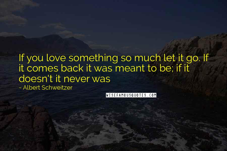 Albert Schweitzer Quotes: If you love something so much let it go. If it comes back it was meant to be; if it doesn't it never was