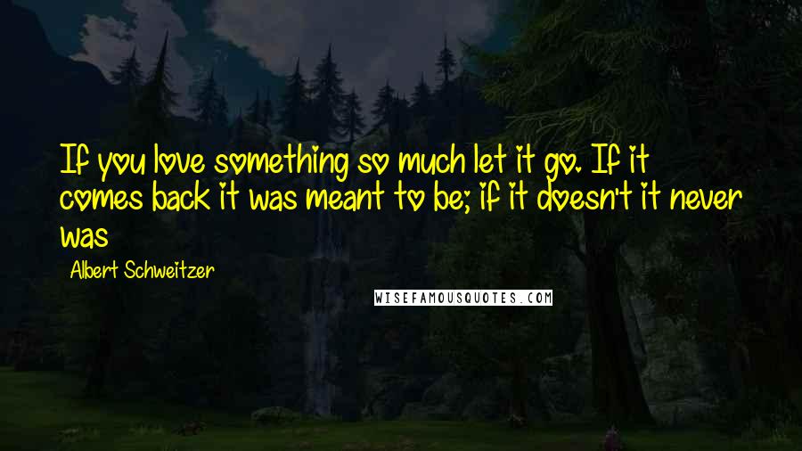 Albert Schweitzer Quotes: If you love something so much let it go. If it comes back it was meant to be; if it doesn't it never was