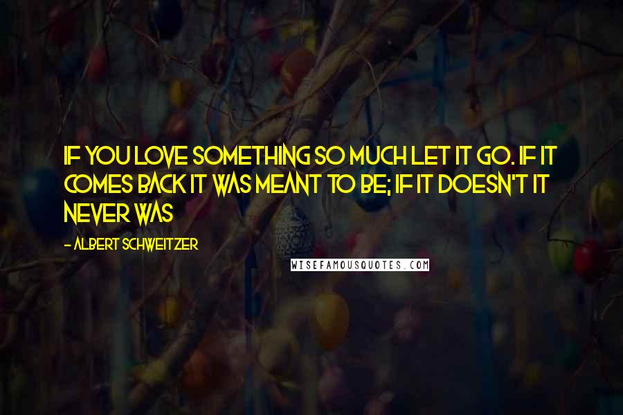 Albert Schweitzer Quotes: If you love something so much let it go. If it comes back it was meant to be; if it doesn't it never was