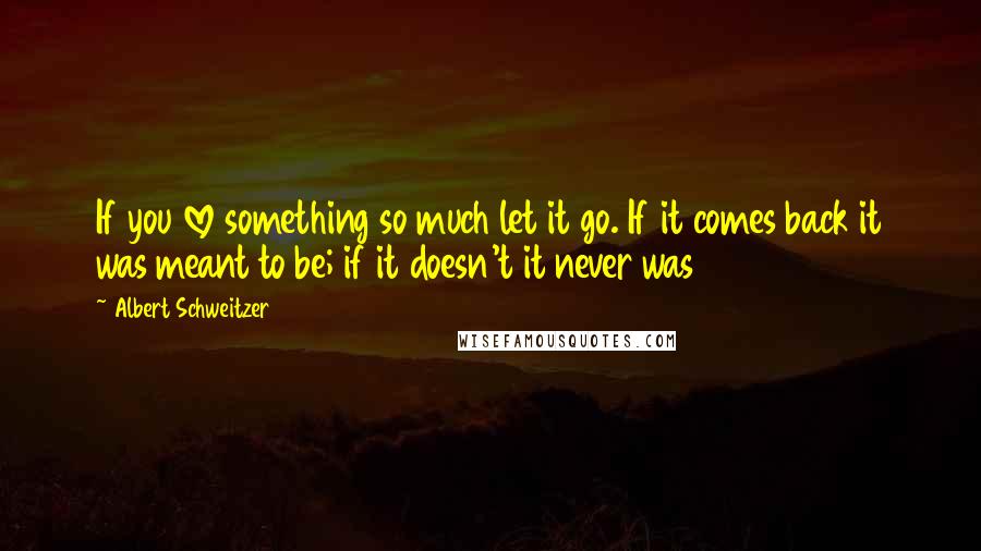 Albert Schweitzer Quotes: If you love something so much let it go. If it comes back it was meant to be; if it doesn't it never was