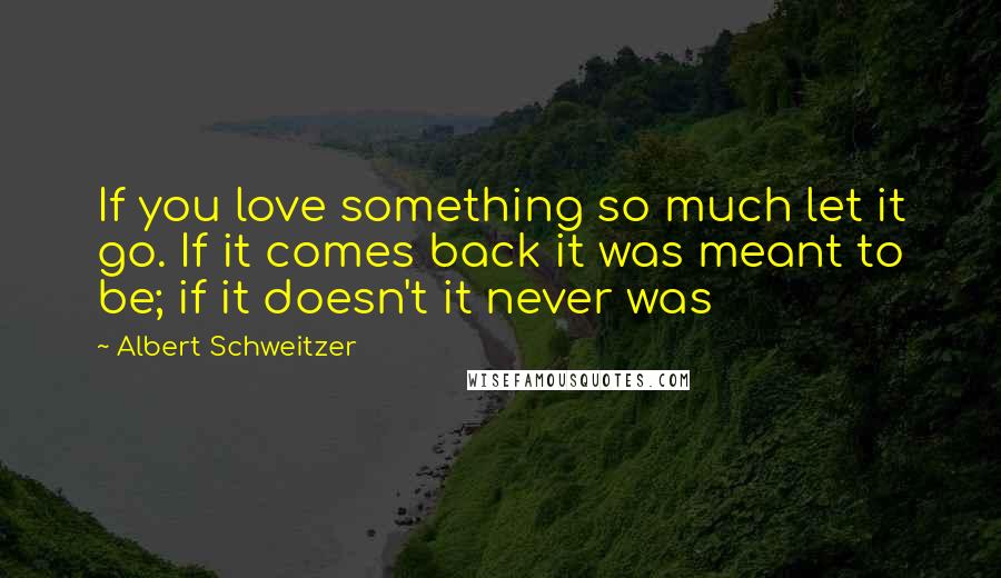 Albert Schweitzer Quotes: If you love something so much let it go. If it comes back it was meant to be; if it doesn't it never was