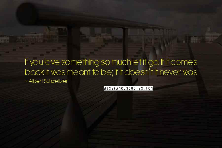 Albert Schweitzer Quotes: If you love something so much let it go. If it comes back it was meant to be; if it doesn't it never was