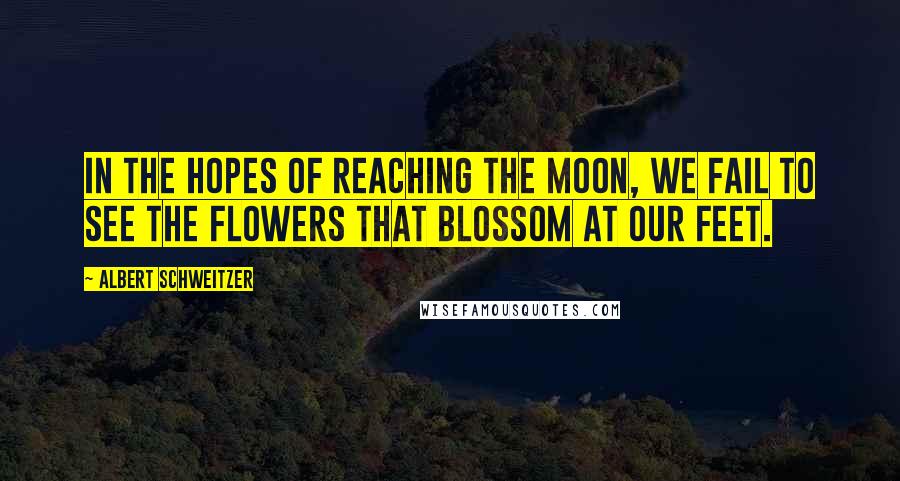 Albert Schweitzer Quotes: In the hopes of reaching the moon, we fail to see the flowers that blossom at our feet.