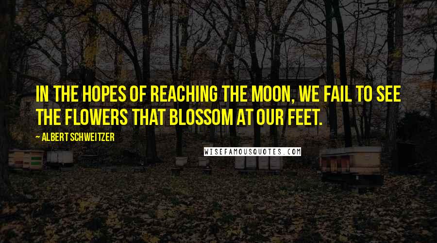 Albert Schweitzer Quotes: In the hopes of reaching the moon, we fail to see the flowers that blossom at our feet.