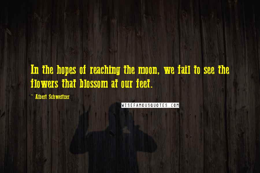 Albert Schweitzer Quotes: In the hopes of reaching the moon, we fail to see the flowers that blossom at our feet.