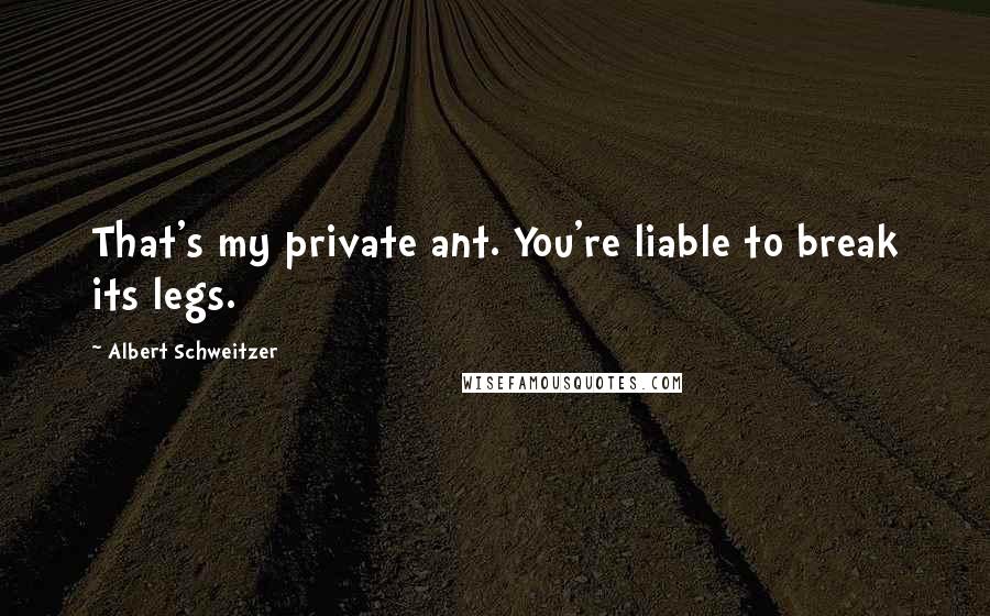 Albert Schweitzer Quotes: That's my private ant. You're liable to break its legs.