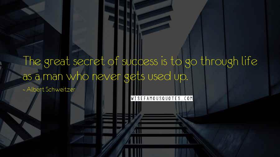 Albert Schweitzer Quotes: The great secret of success is to go through life as a man who never gets used up.