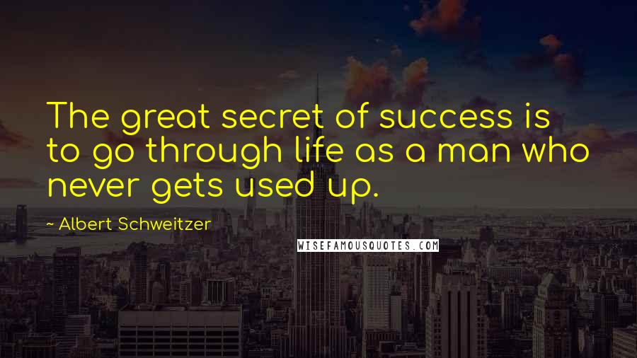 Albert Schweitzer Quotes: The great secret of success is to go through life as a man who never gets used up.