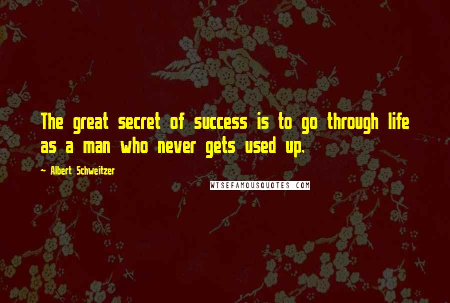 Albert Schweitzer Quotes: The great secret of success is to go through life as a man who never gets used up.