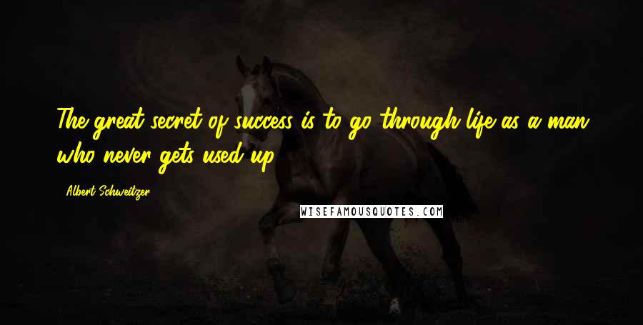 Albert Schweitzer Quotes: The great secret of success is to go through life as a man who never gets used up.