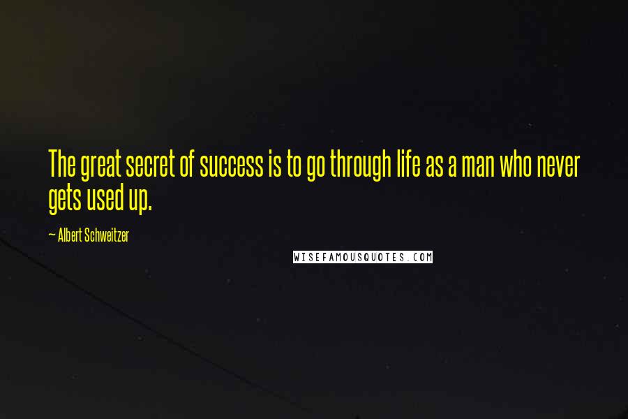 Albert Schweitzer Quotes: The great secret of success is to go through life as a man who never gets used up.