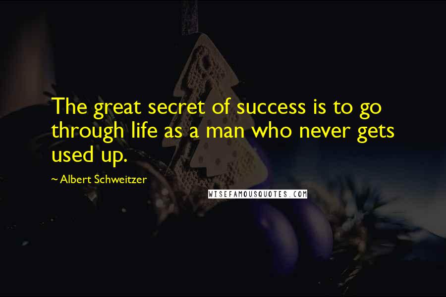 Albert Schweitzer Quotes: The great secret of success is to go through life as a man who never gets used up.