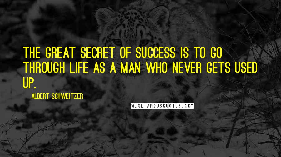 Albert Schweitzer Quotes: The great secret of success is to go through life as a man who never gets used up.