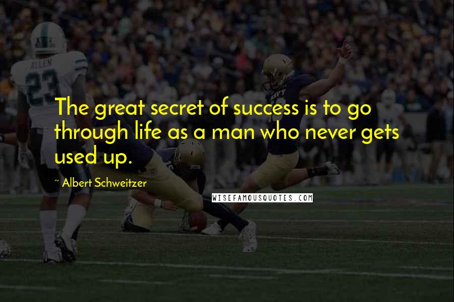 Albert Schweitzer Quotes: The great secret of success is to go through life as a man who never gets used up.