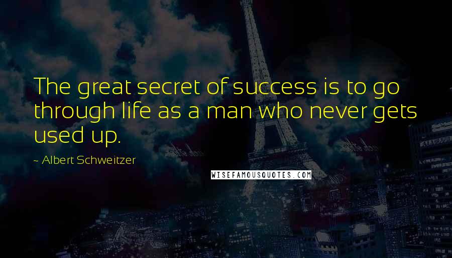 Albert Schweitzer Quotes: The great secret of success is to go through life as a man who never gets used up.