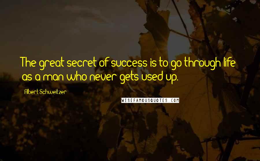 Albert Schweitzer Quotes: The great secret of success is to go through life as a man who never gets used up.