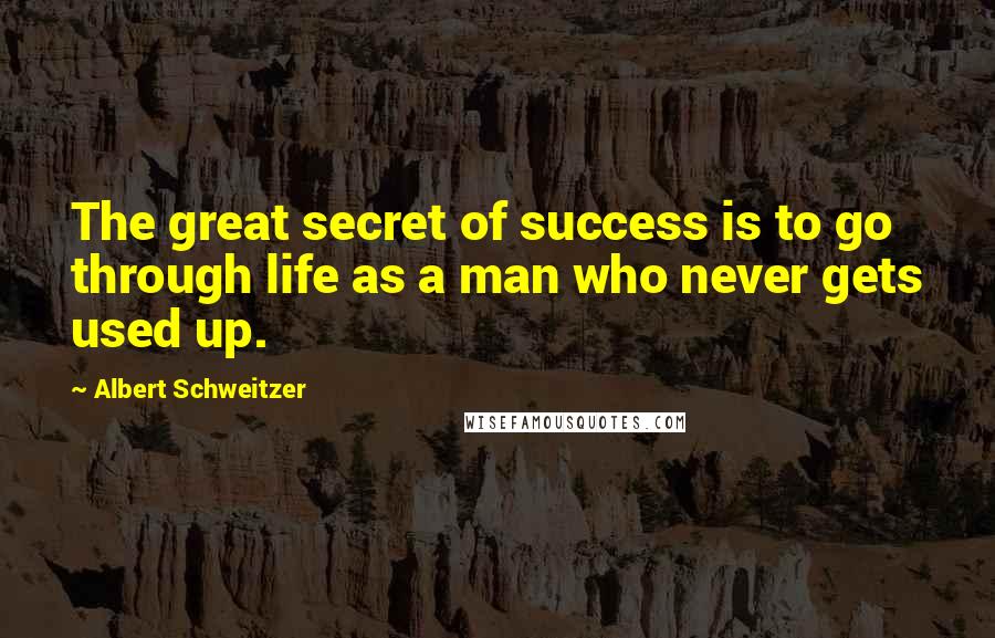 Albert Schweitzer Quotes: The great secret of success is to go through life as a man who never gets used up.