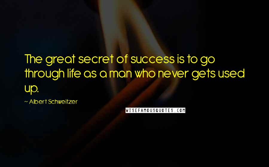 Albert Schweitzer Quotes: The great secret of success is to go through life as a man who never gets used up.