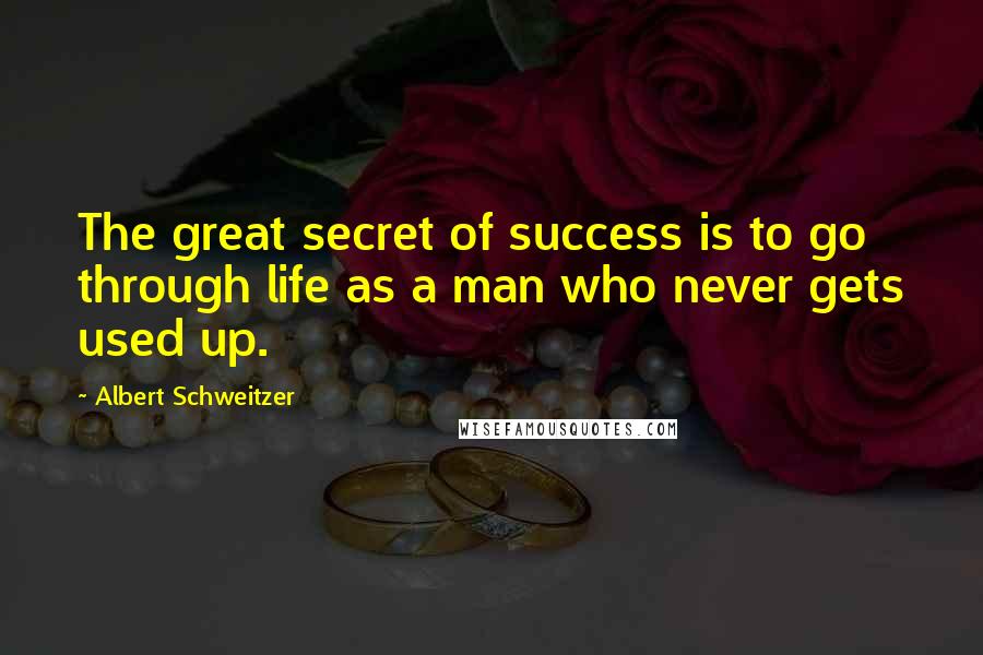 Albert Schweitzer Quotes: The great secret of success is to go through life as a man who never gets used up.