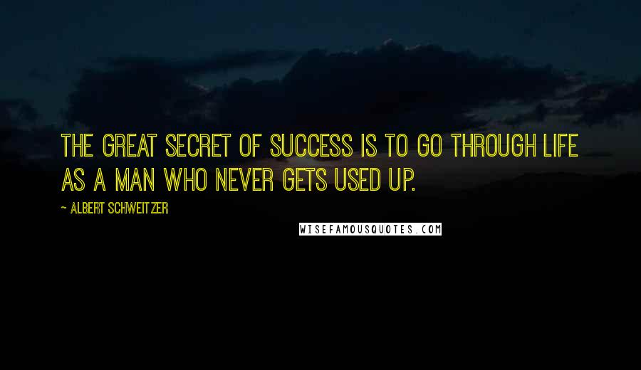 Albert Schweitzer Quotes: The great secret of success is to go through life as a man who never gets used up.