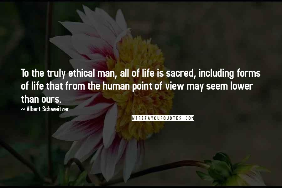 Albert Schweitzer Quotes: To the truly ethical man, all of life is sacred, including forms of life that from the human point of view may seem lower than ours.