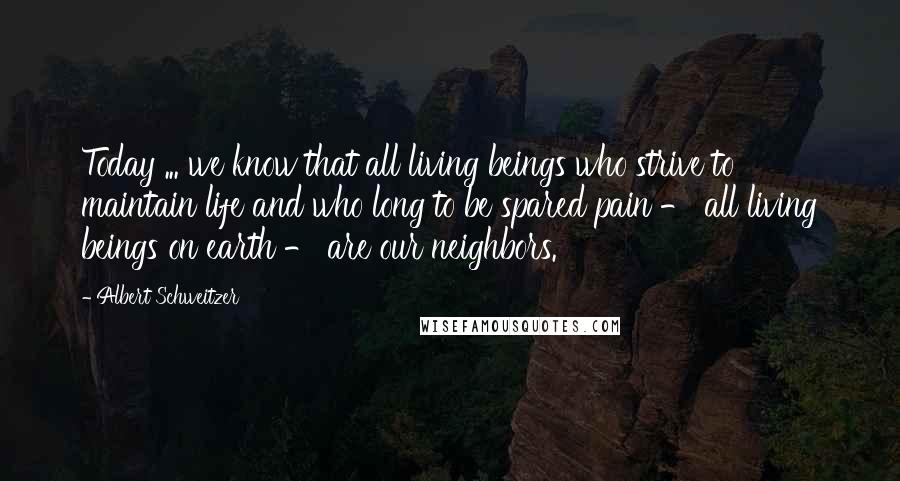 Albert Schweitzer Quotes: Today ... we know that all living beings who strive to maintain life and who long to be spared pain - all living beings on earth - are our neighbors.