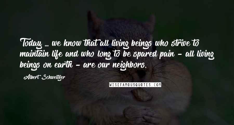 Albert Schweitzer Quotes: Today ... we know that all living beings who strive to maintain life and who long to be spared pain - all living beings on earth - are our neighbors.