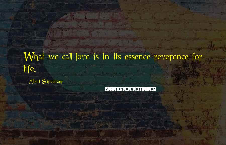 Albert Schweitzer Quotes: What we call love is in its essence reverence for life.