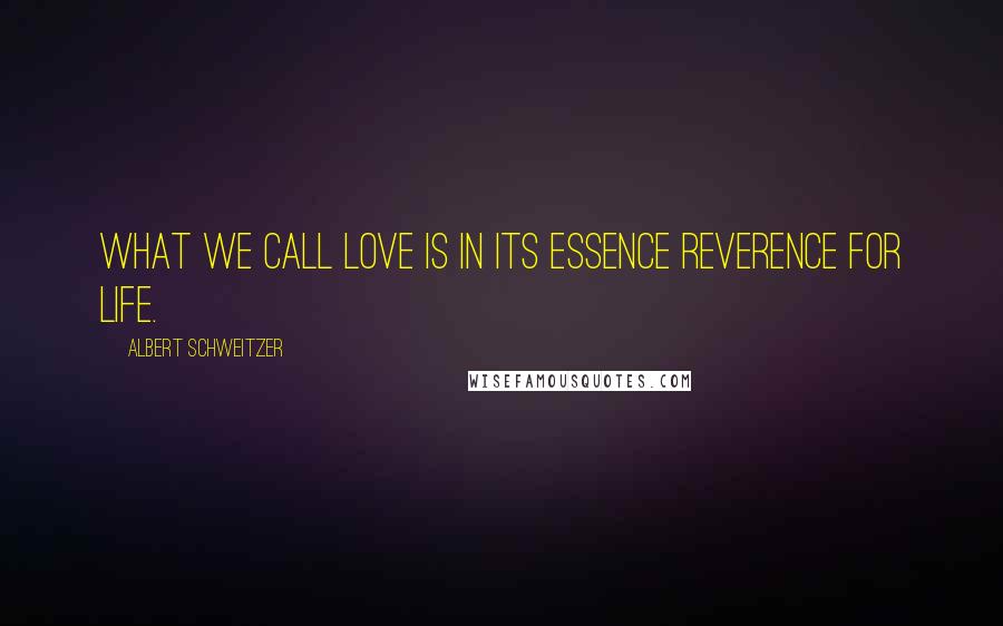 Albert Schweitzer Quotes: What we call love is in its essence reverence for life.