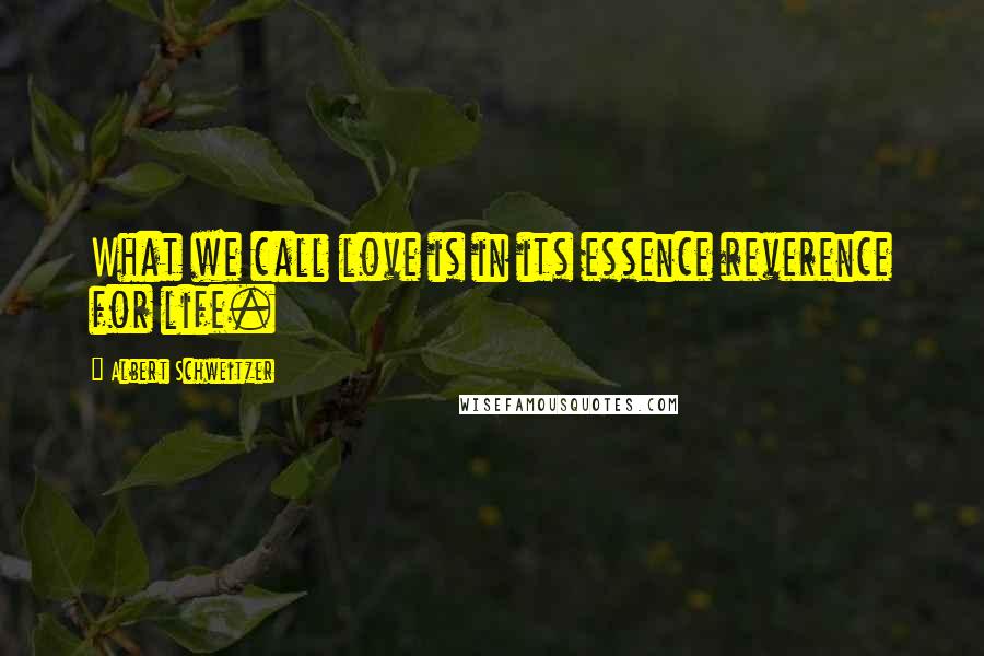 Albert Schweitzer Quotes: What we call love is in its essence reverence for life.