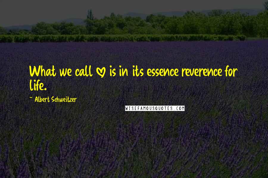 Albert Schweitzer Quotes: What we call love is in its essence reverence for life.