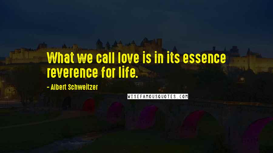 Albert Schweitzer Quotes: What we call love is in its essence reverence for life.