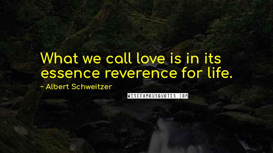 Albert Schweitzer Quotes: What we call love is in its essence reverence for life.