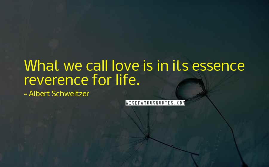 Albert Schweitzer Quotes: What we call love is in its essence reverence for life.