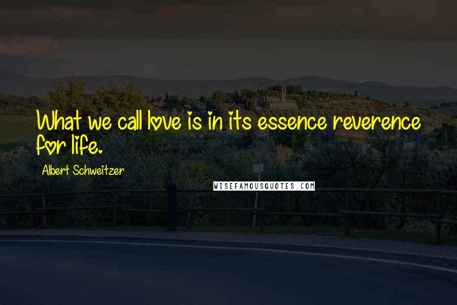 Albert Schweitzer Quotes: What we call love is in its essence reverence for life.