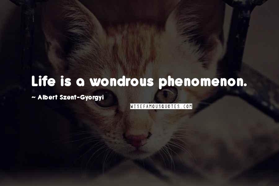 Albert Szent-Gyorgyi Quotes: Life is a wondrous phenomenon.