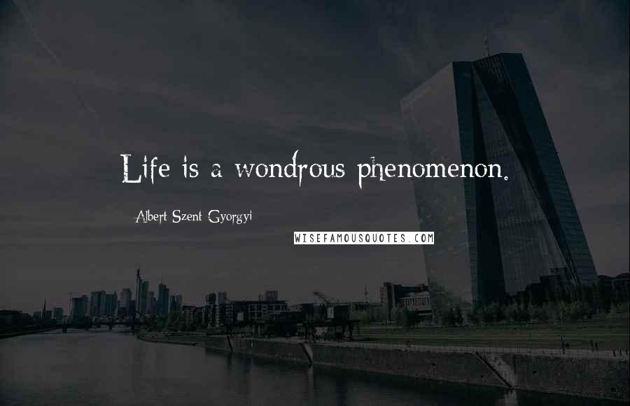 Albert Szent-Gyorgyi Quotes: Life is a wondrous phenomenon.