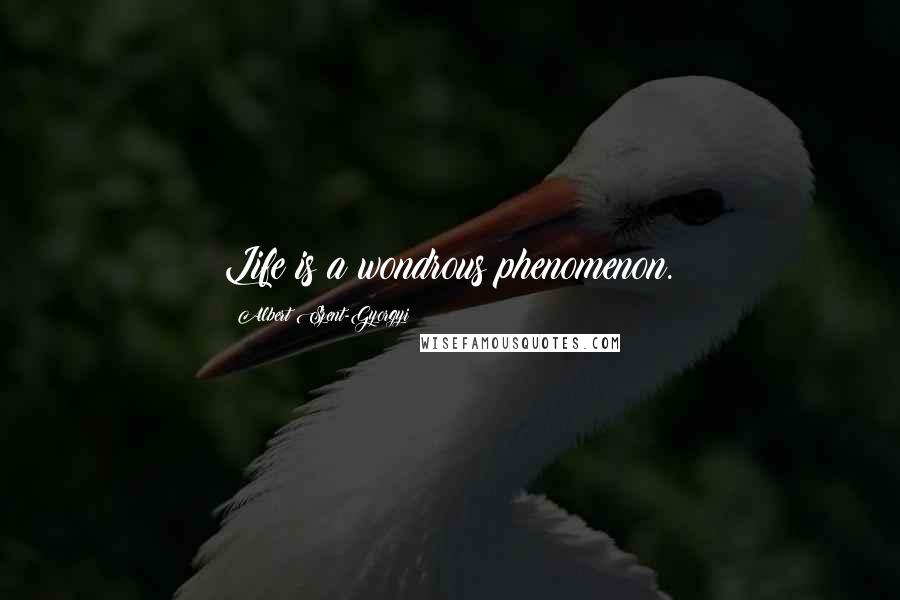 Albert Szent-Gyorgyi Quotes: Life is a wondrous phenomenon.