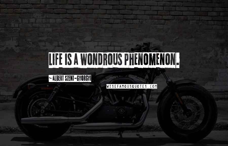 Albert Szent-Gyorgyi Quotes: Life is a wondrous phenomenon.