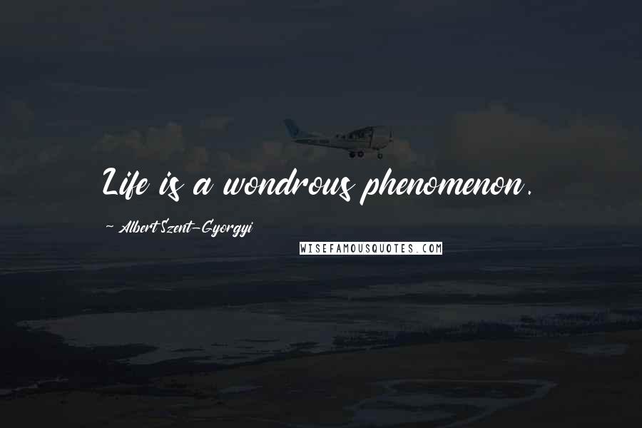 Albert Szent-Gyorgyi Quotes: Life is a wondrous phenomenon.