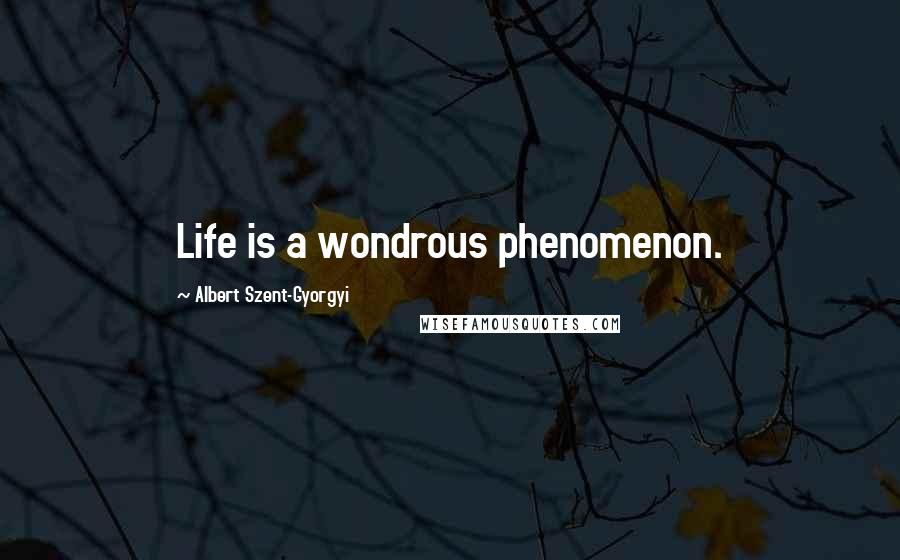 Albert Szent-Gyorgyi Quotes: Life is a wondrous phenomenon.