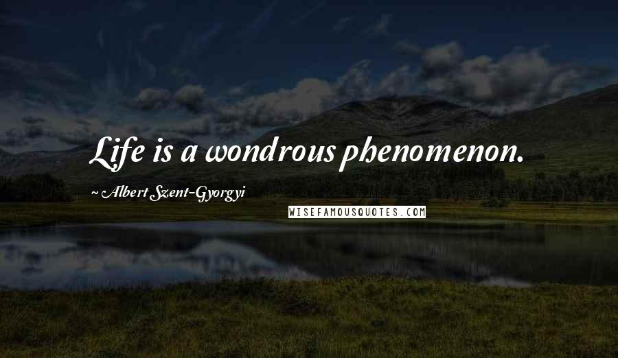 Albert Szent-Gyorgyi Quotes: Life is a wondrous phenomenon.