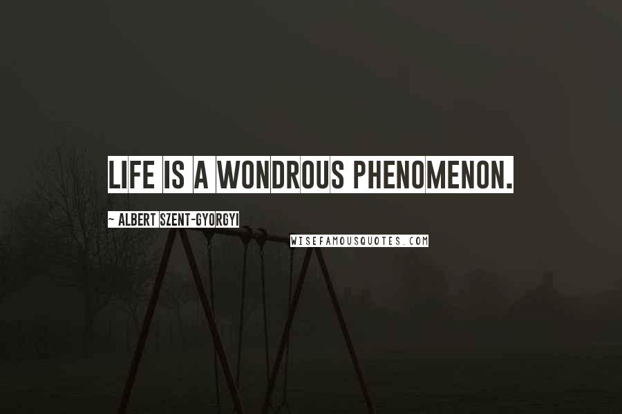 Albert Szent-Gyorgyi Quotes: Life is a wondrous phenomenon.